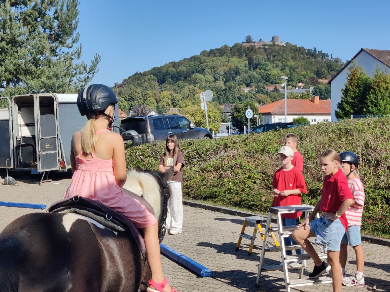 Pony